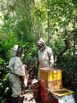 Aristeo Bee Venom desarrolla productos a partir del veneno de las abejas Aristeo Bee Venom desarrolla productos a partir del veneno de las abejas
